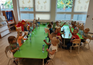 Zdjęcie 14 na 16
