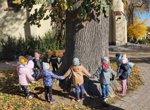 Dzień Drzewa