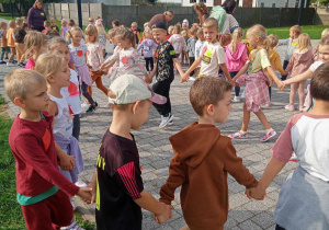 Zdjęcie 15 na 29