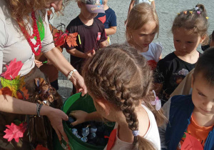 Zdjęcie 12 na 29