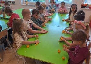 Zdjęcie 5 na 5