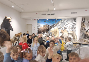 Zdjęcie 4 na 9