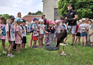 Zdjęcie 5 na 6