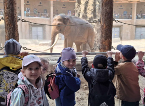 Wycieczka Tropicieli i Żabek do ZOO w Łodzi
