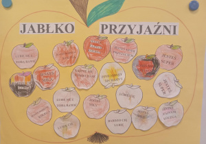 Zdjęcie 7 na 25