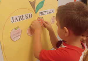 Zdjęcie 22 na 25